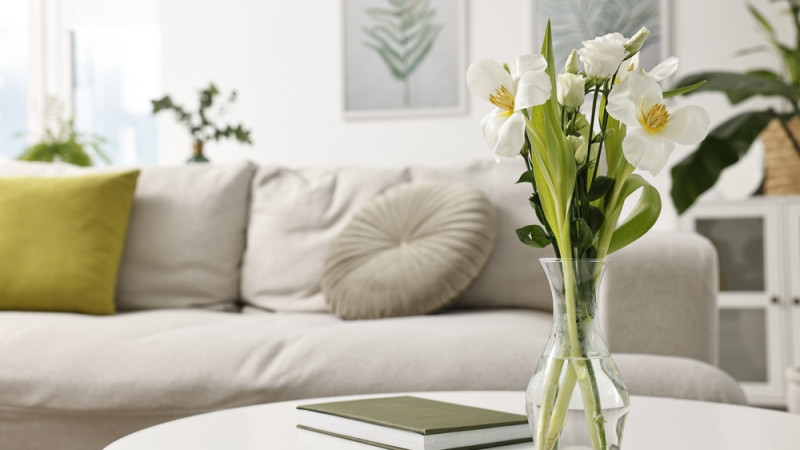 Quelles sont les règles du Feng Shui ?