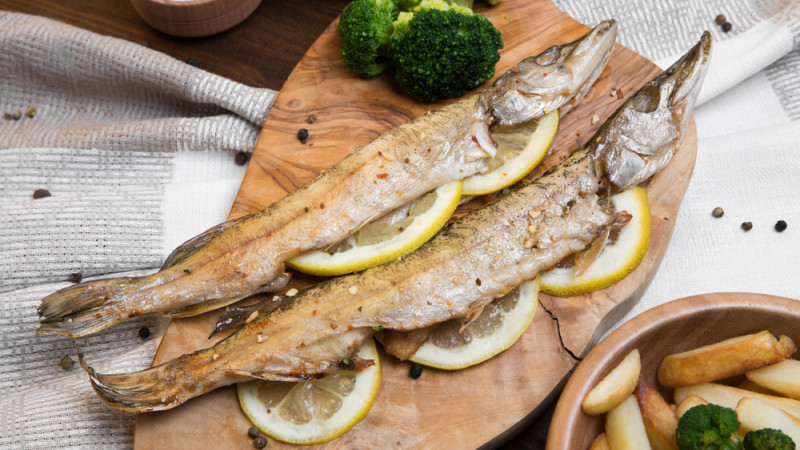Le brochet : bienfaits, calories et utilisation en cuisine