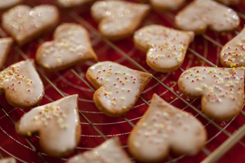 10 recettes de desserts alsaciens : douceur et traditions