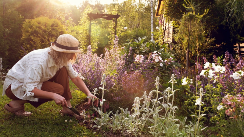 Combien de calories brûle-t-on en jardinant ?