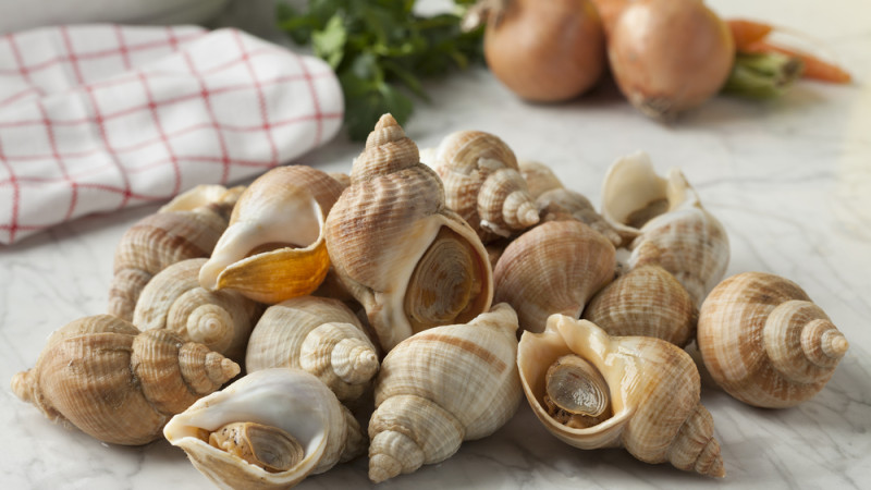 Comment faire cuire et assaisonner des bulots ?