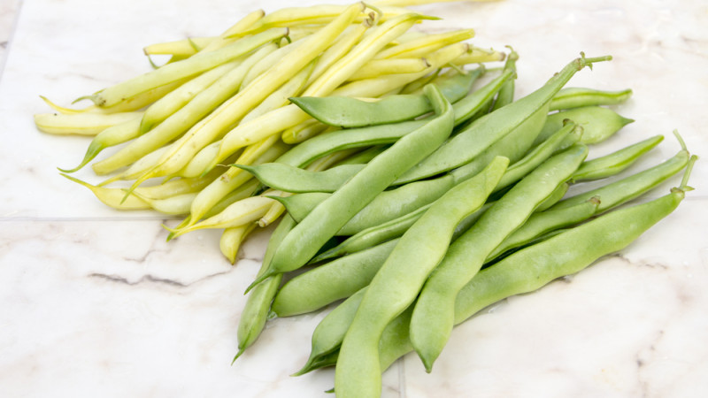 Haricots verts vs haricots beurre : lesquels sont les plus caloriques ?