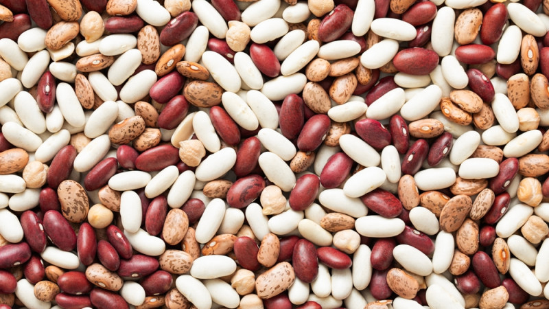 Haricots blancs vs haricots rouges : lesquels sont les plus caloriques ?