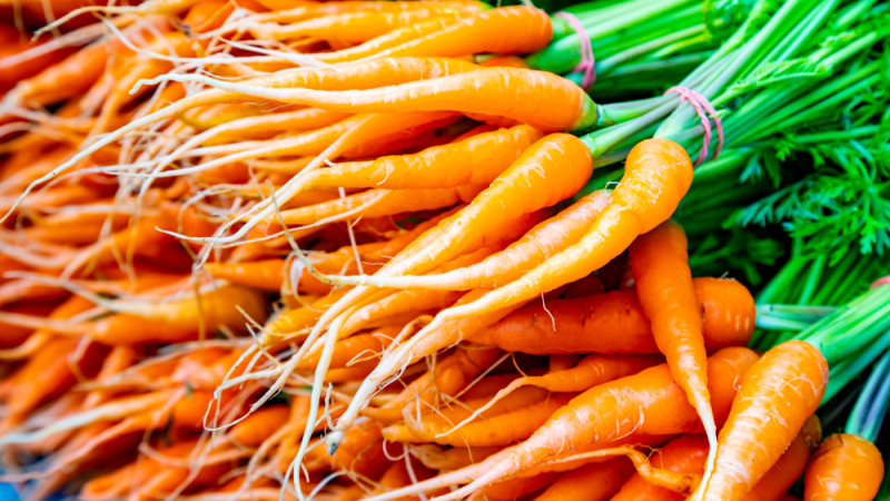 Les bienfaits des carottes nouvelles