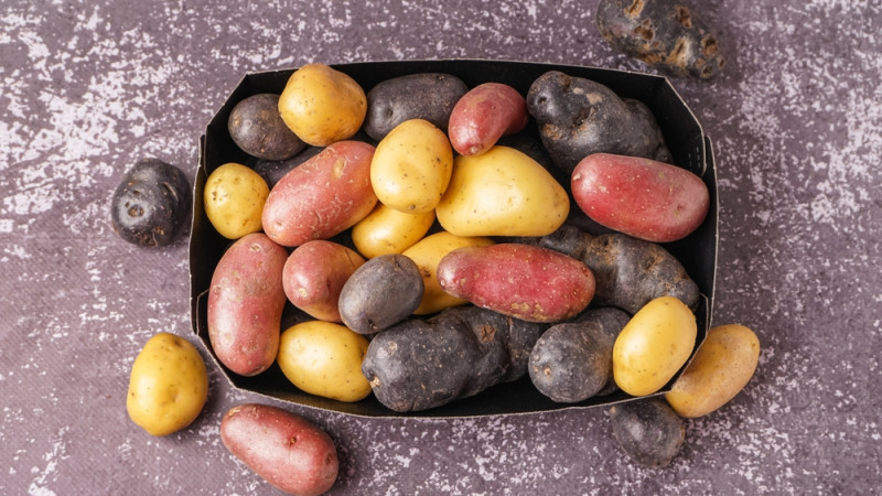 Quelle variété de pommes de terre pour quel plat ?
