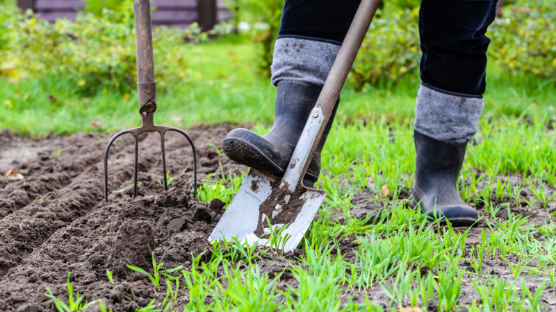Potager : 5 conseils pour bien préparer la terre