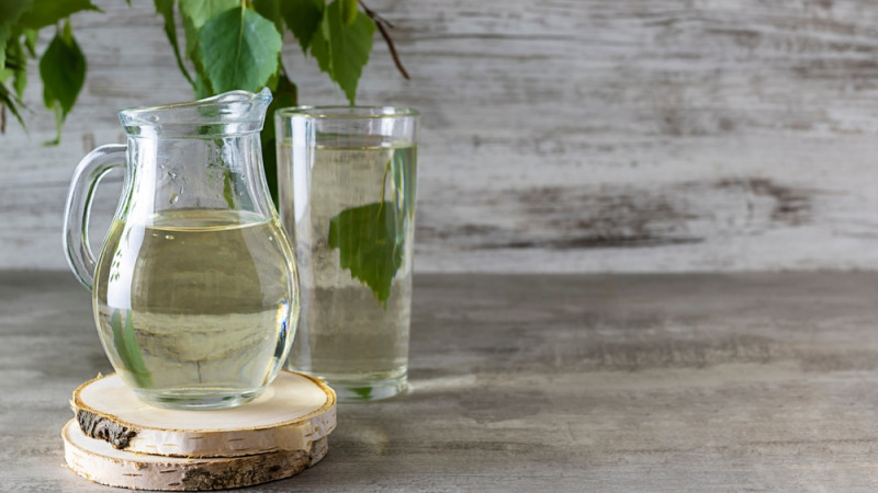 cure sève de bouleau