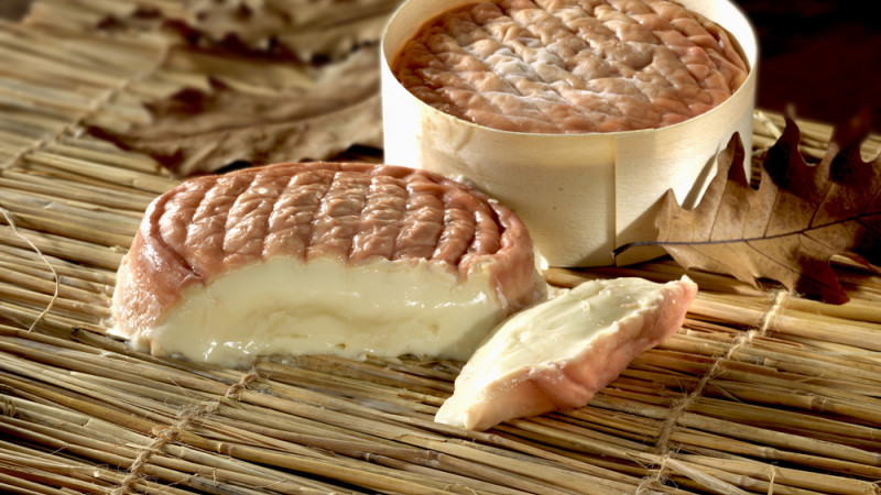 L'Epoisses : bienfaits, calories et utilisation en cuisine