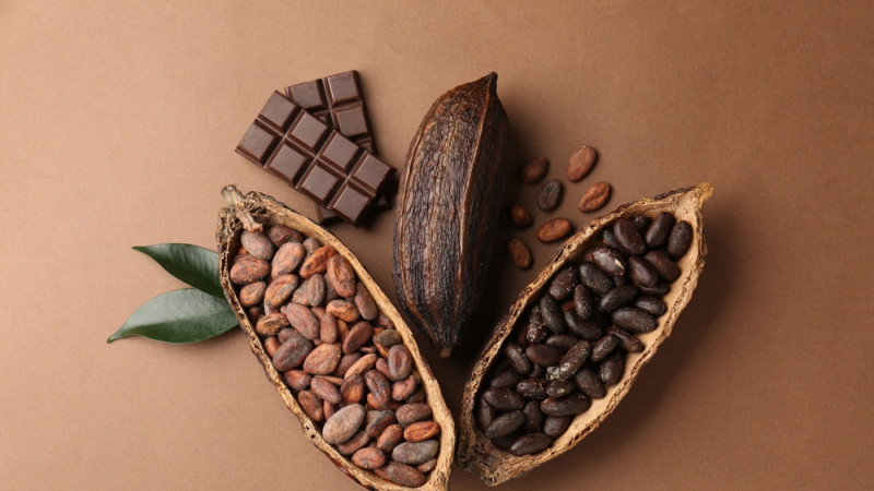 Quelle est la différence entre le cacao et le chocolat ?