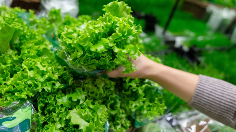 Comment conserver une salade fraîche plusieurs jours ?