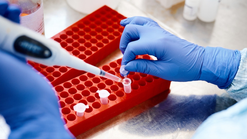 Tout savoir sur les bactériophages