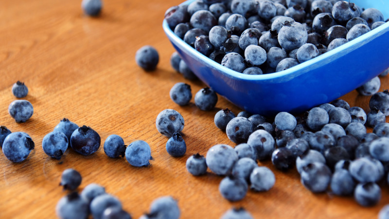 5 bonnes raisons de manger de la myrtille