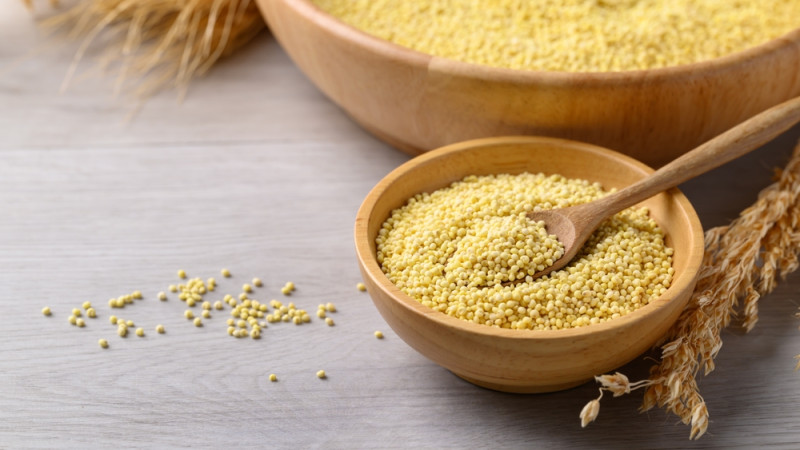 Est-ce que le millet est bon pour les intestins ?