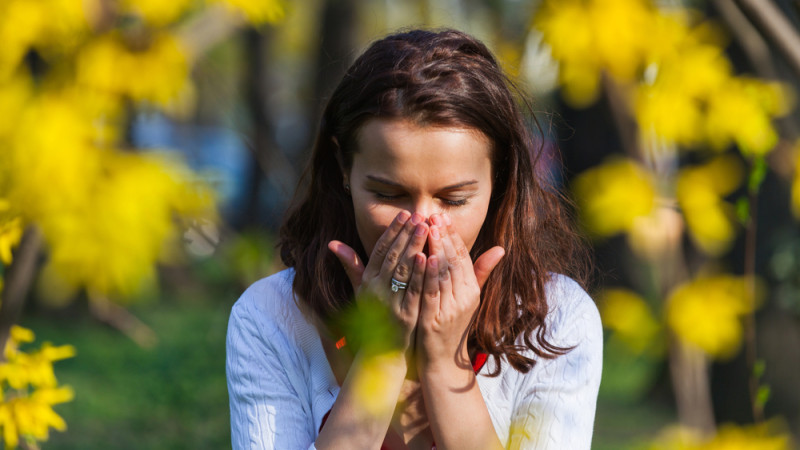 allergie pollen