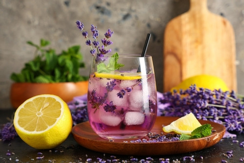 10 recettes de citronnades rafraîchissantes
