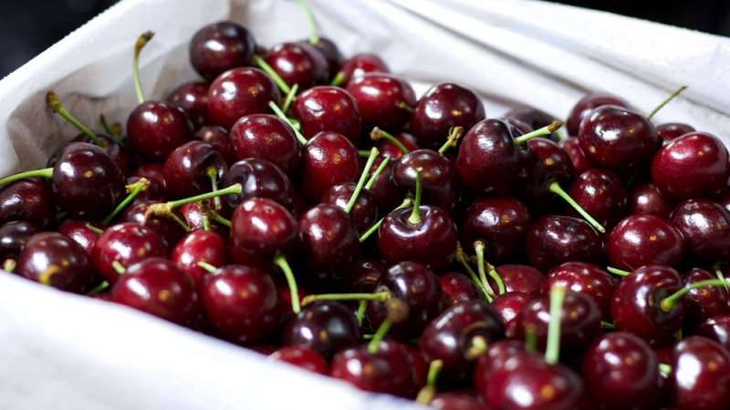 cerises