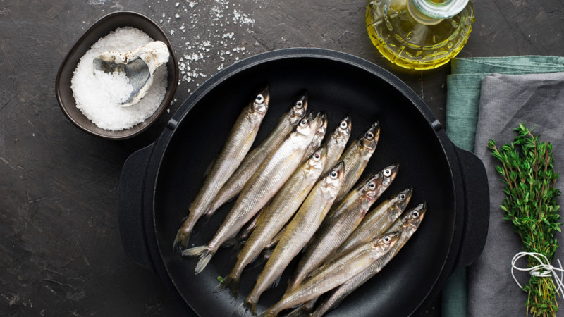 sardine