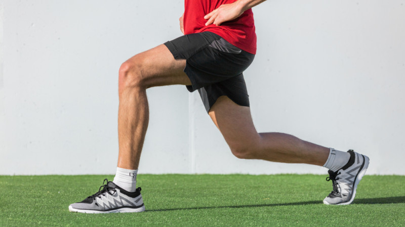 quadriceps