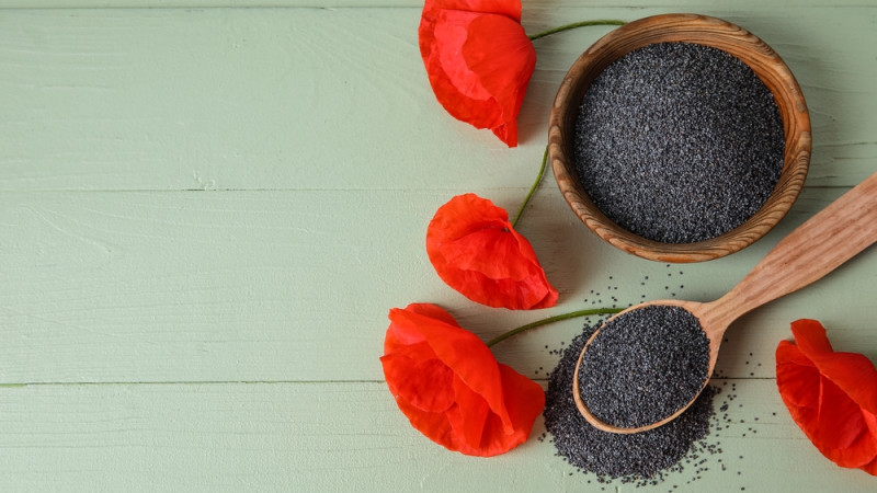 Comment utiliser le coquelicot en cuisine ?