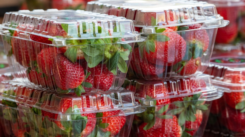 Quelle variété de fraises choisir pour éviter les pesticides ?