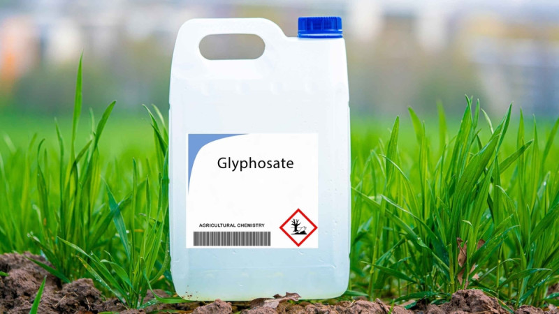 Les dangers des glyphosates sur la santé