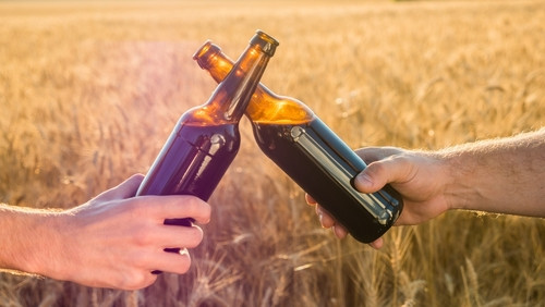 Canicule : Pourquoi boire une bière fraîche est une mauvaise idée pour se désaltérer