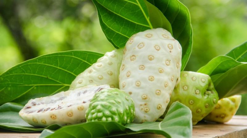 noni