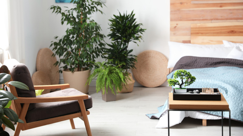 Feng shui : 10 erreurs à éviter dans votre chambre