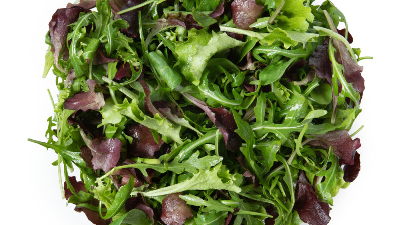salade romaine et roquette