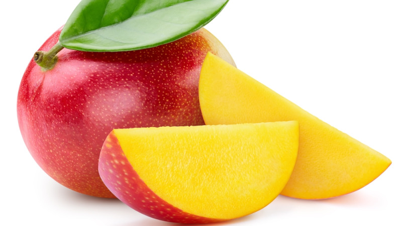 mangue