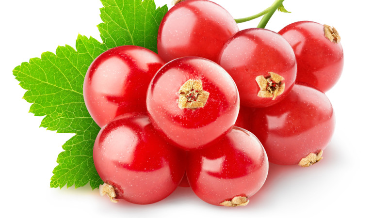 groseilles
