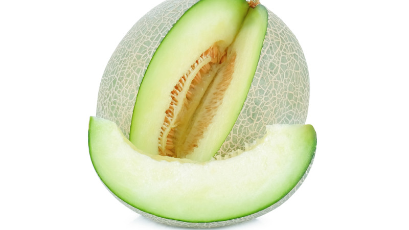 melon melon
