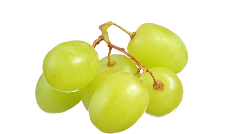 raisin