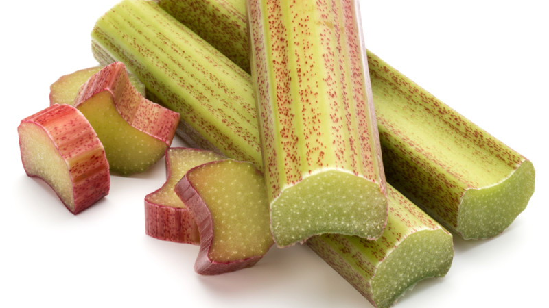 rhubarbe