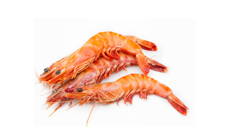 gambas