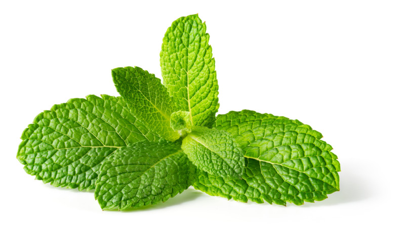 menthe