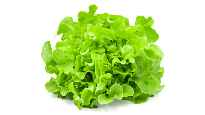 salade verte