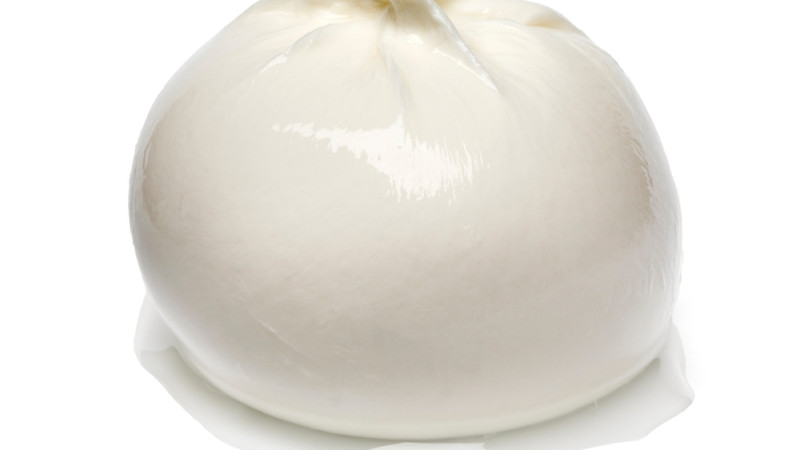 burrata