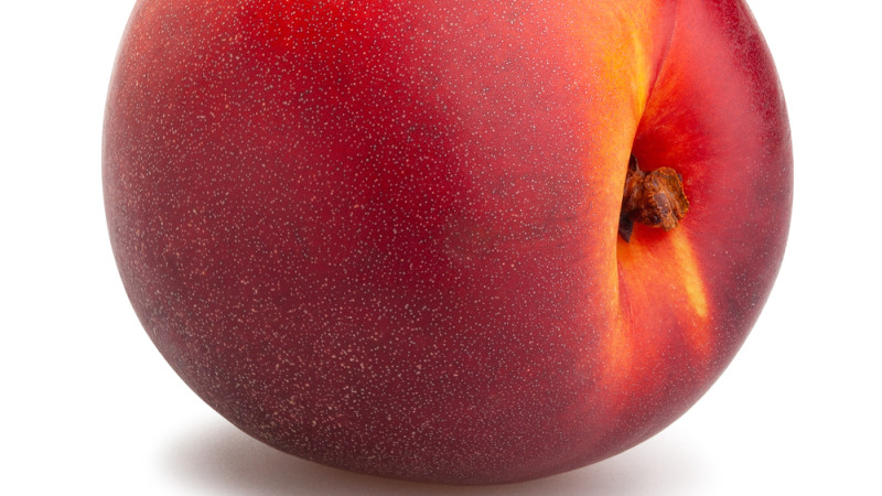 nectarine