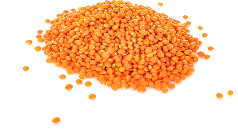 lentilles corail