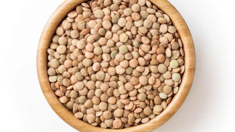lentilles vertes (non cuites)