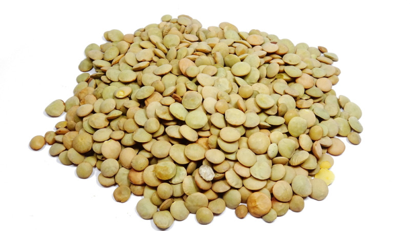 lentilles vertes cuites