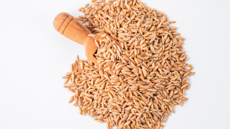 Farro
