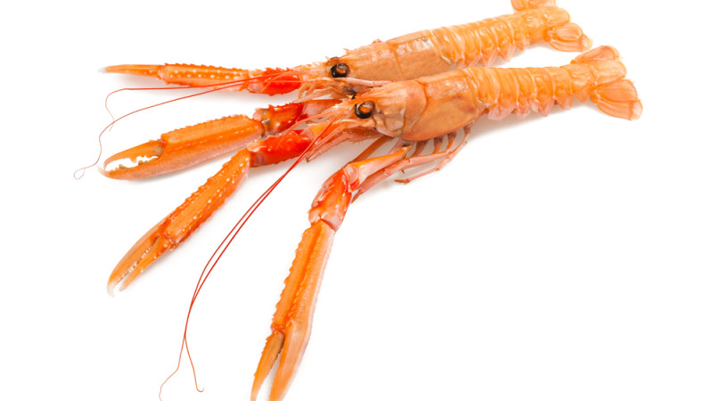 langoustines cuites