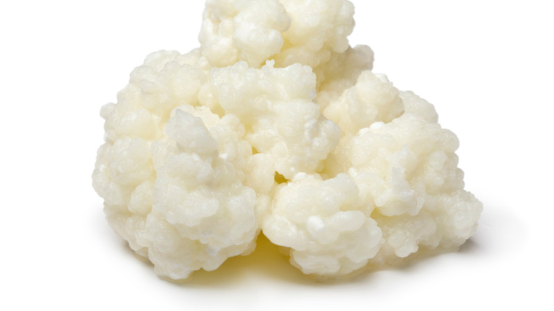 kéfir