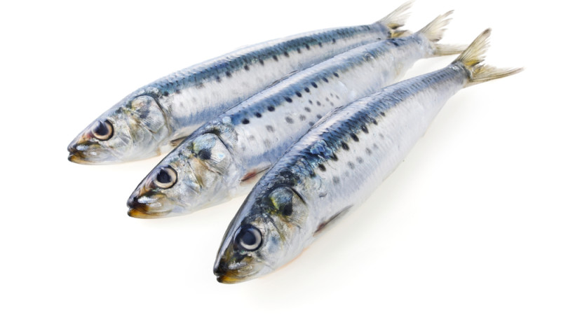 sardines fraîches