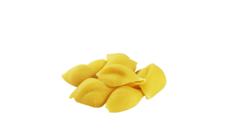 conchiglioni 