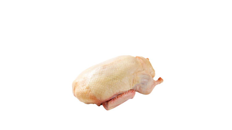 canette