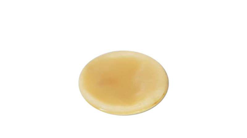souche de Kombucha