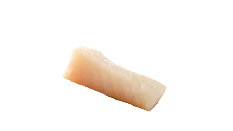 poisson blanc